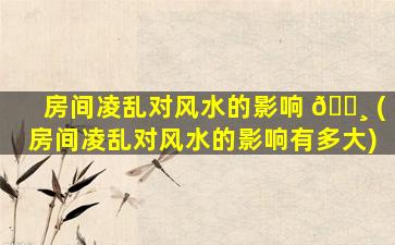 房间凌乱对风水的影响 🌸 (房间凌乱对风水的影响有多大)